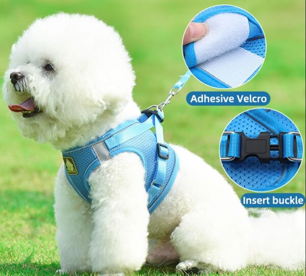 Cat & Dog Harness+Leash - JHXBFB855 - Image 6