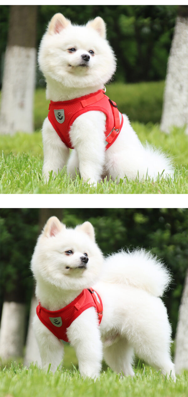 Dog Harness+Leash - JHXBFB844 - Image 7