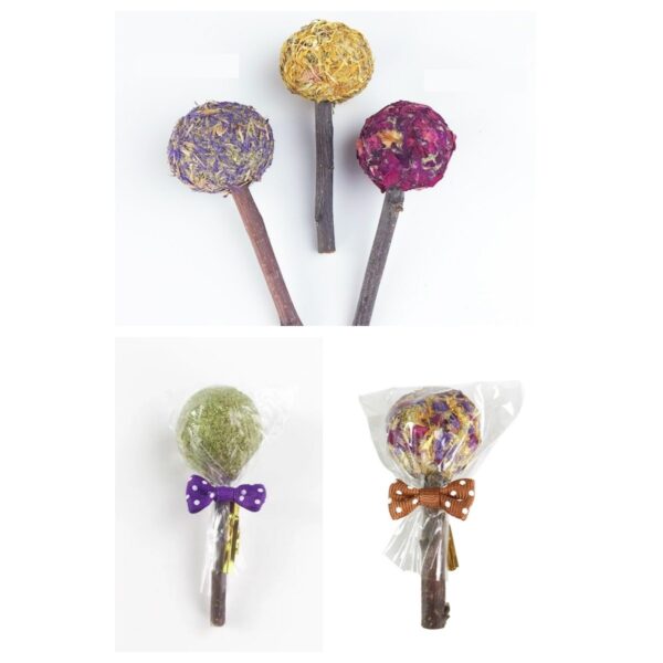 Interactive Natural Chewable Lollipop Toys - JHXDW006 - Image 2