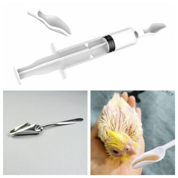 Baby Birds Stainless Steel Spoon Hand Rearing Feeding Syringes - JHN010