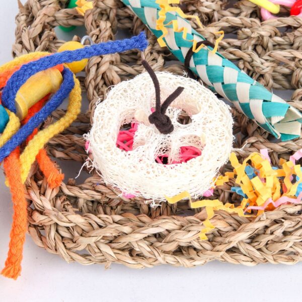 Edible Seagrass Bird Foraging Wall Chew Toy - JHN001 - Image 3