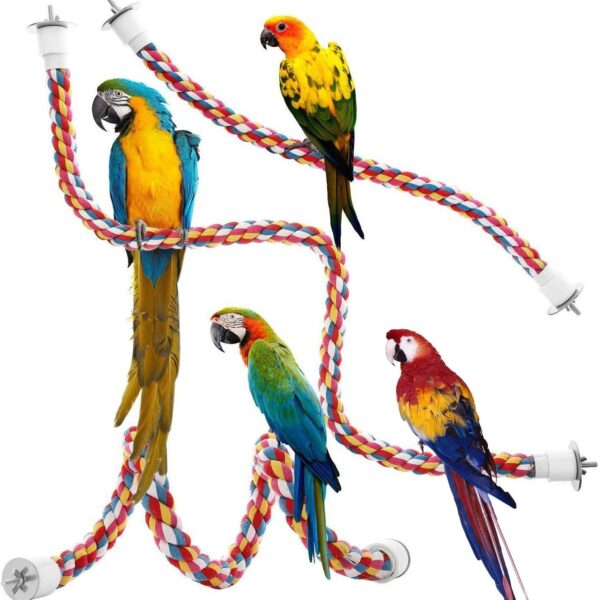 Bird Colorful Spiral Rope Perch - JHN009