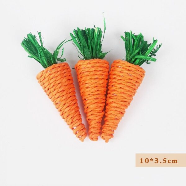Molar Plant Natural Veggie Chew Toys - JHXDW005 - Image 5