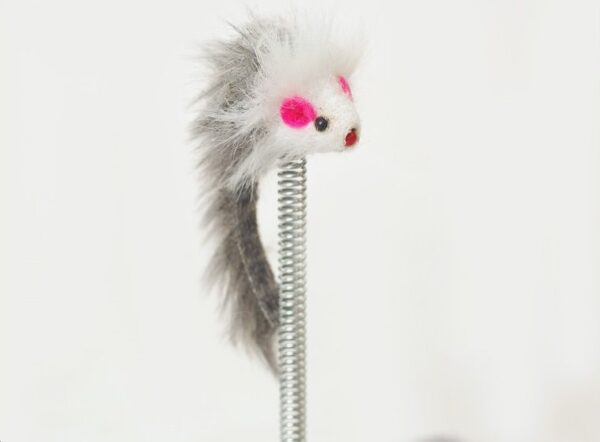Cat Scratcher with Spring Feather Toy - JHMPJM001 - Image 4
