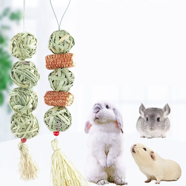 Rabbits Grass Ball Bunny Chew Toys - JHXDW008 - Image 2