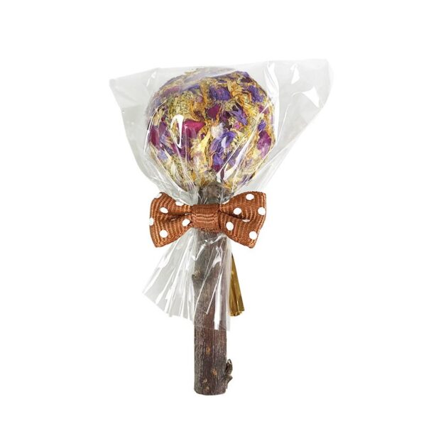 Interactive Natural Chewable Lollipop Toys - JHXDW006 - Image 5