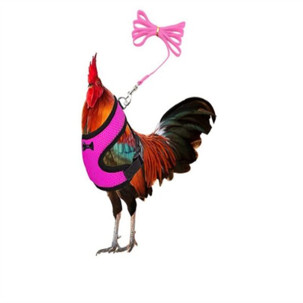 Adjustable Easter Chicken Harness with Matching Belt - JHXDW022 - Image 5