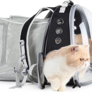 Cat Carriers & Travel