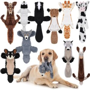 Dog Toys