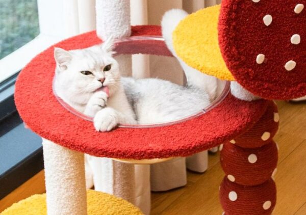 Multi- Level Cat Condo Cat Tree Towel with Platform & Hammock - JHMPJMR02 - Image 4