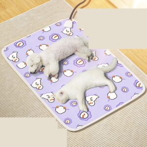 Print Design Heating Pet Pad Mat - JHGW044