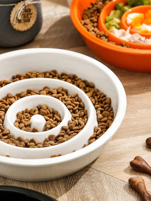 Dog Cat Slow Feeder Bowl - JHHS029 - Image 6