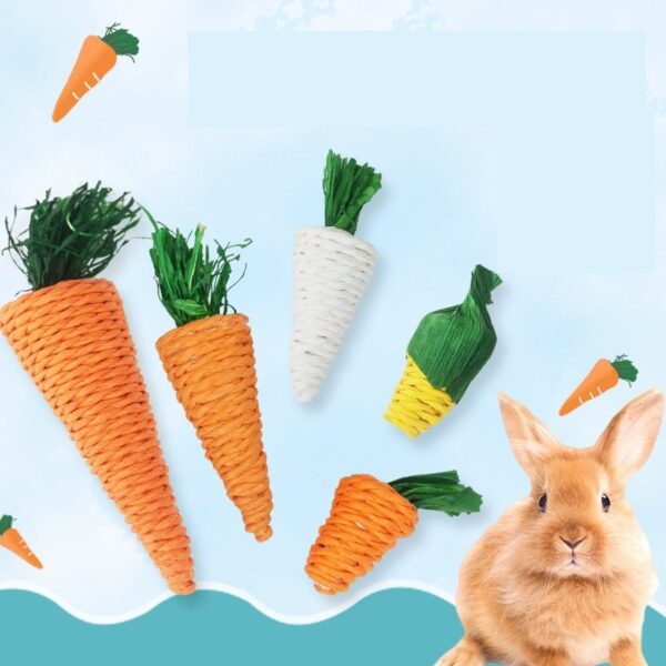 Molar Plant Natural Veggie Chew Toys - JHXDW005 - Image 2
