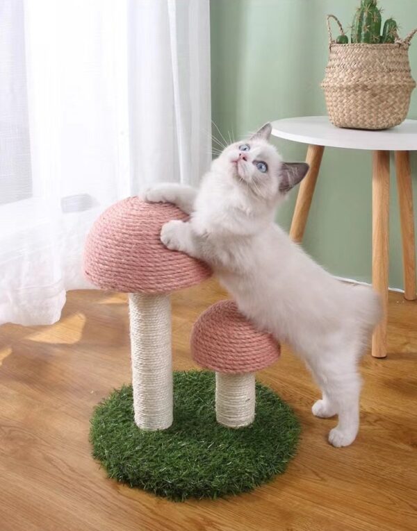Mushroom Cat Scratching Post  - JHMPJMP04 - Image 5