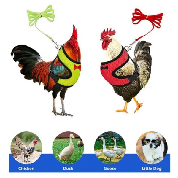 Adjustable Easter Chicken Harness with Matching Belt - JHXDW022 - Image 2