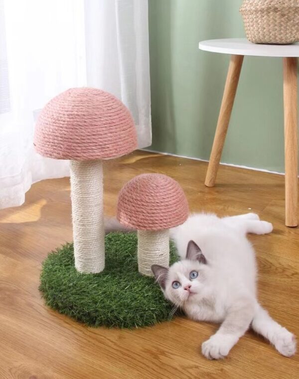 Mushroom Cat Scratching Post  - JHMPJMP04 - Image 7