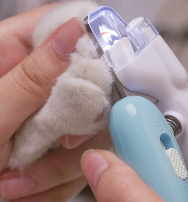 Pets Cats and Dogs Small Nail Clippers with LED Light - JHMR004 - Image 2
