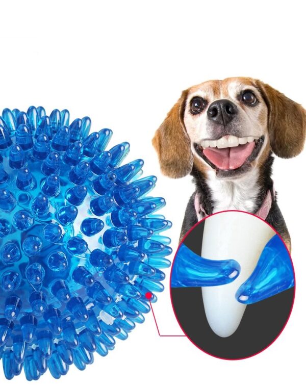 Lightweight Squeaky Chew Dog Toy - JHGWJ029