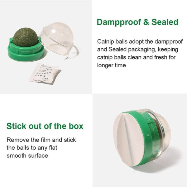 Catnip Ball Cat Toy - JHMWJ021 - Image 3