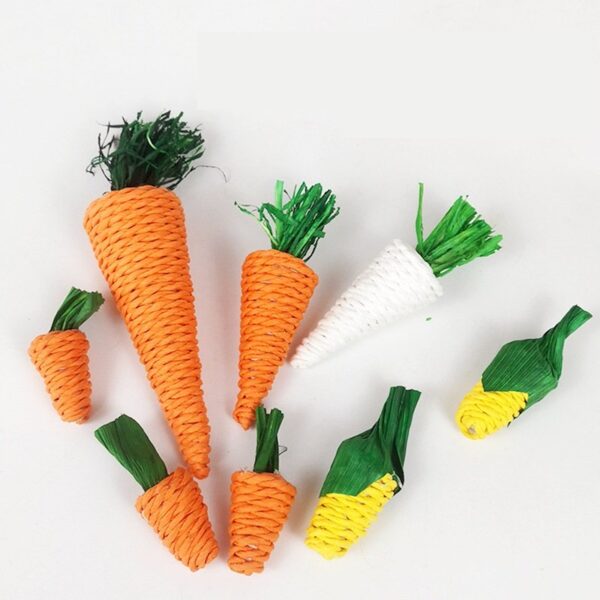 Molar Plant Natural Veggie Chew Toys - JHXDW005 - Image 3