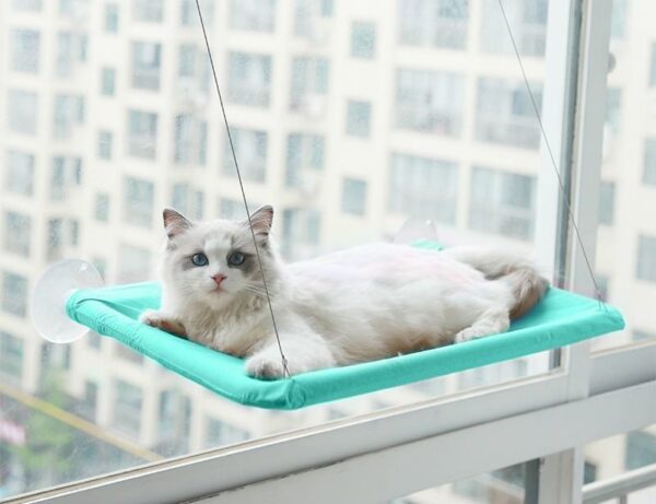 Window Hammock Perch - JHMW036