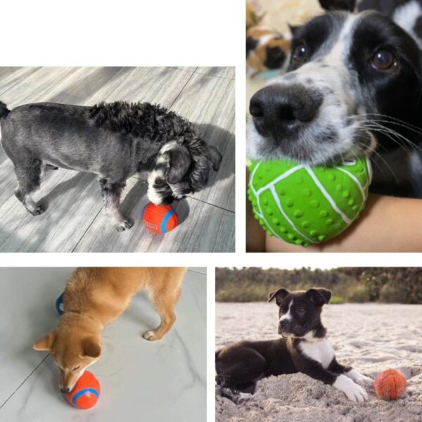 Ball Squeaky Chew Dog Toy - JHGWJ028 - Image 4