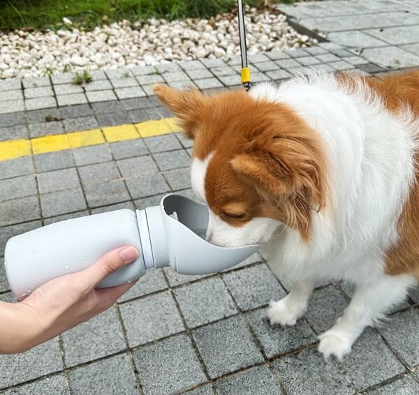 Silicone Foldable Portable Pet Water Bottle  - JHSB004 - Image 3
