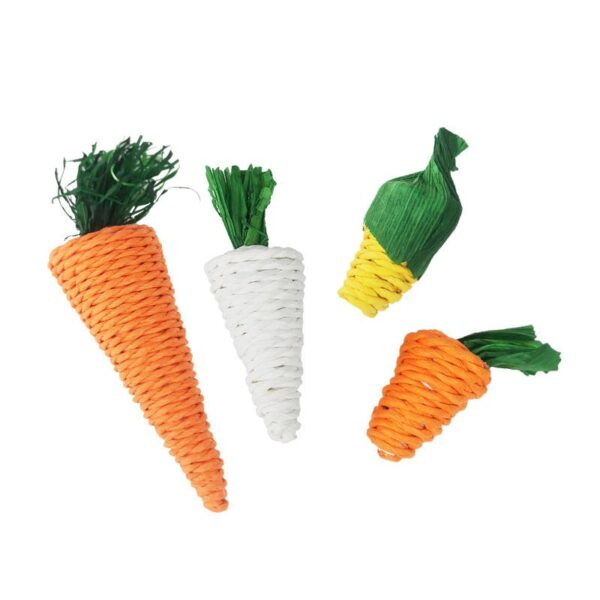 Molar Plant Natural Veggie Chew Toys - JHXDW005 - Image 4