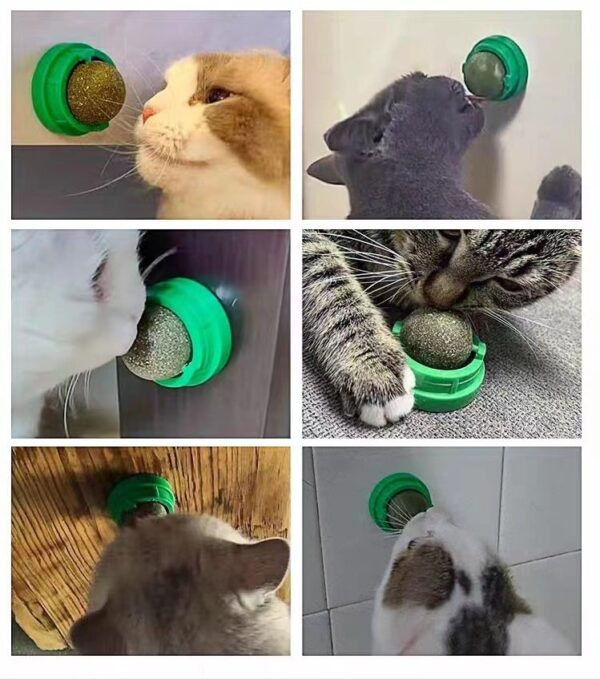 Catnip Ball Cat Toy - JHMWJ021 - Image 9