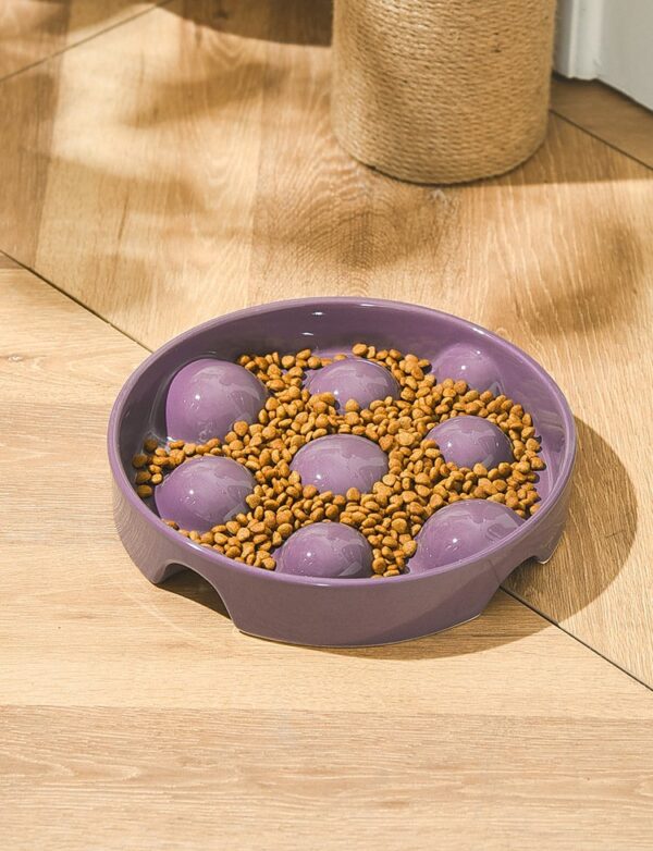 Dog Cat Slow Feeder Bowl - JHHS030 - Image 7
