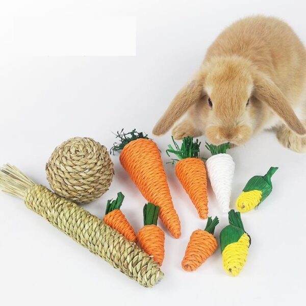 Molar Plant Natural Veggie Chew Toys - JHXDW005