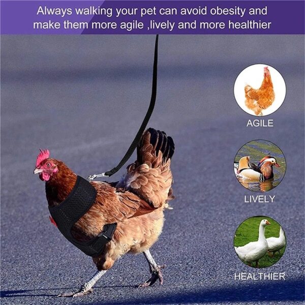 Adjustable Easter Chicken Harness with Matching Belt - JHXDW022 - Image 3