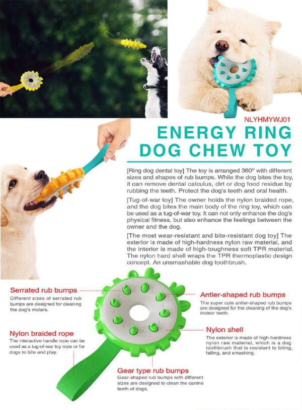 Energy Ring Chew Squeeky Dog Toy - JHGWJ015