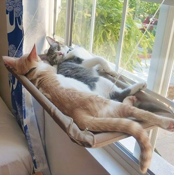 Window Hammock Perch - JHMW036 - Image 5