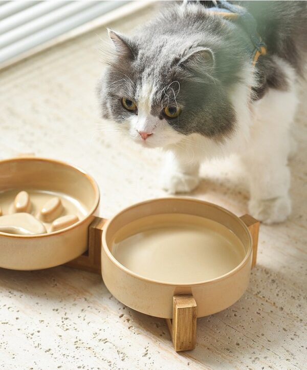 Dog Cat Slow Feeder Bowl - JHHS031 - Image 4