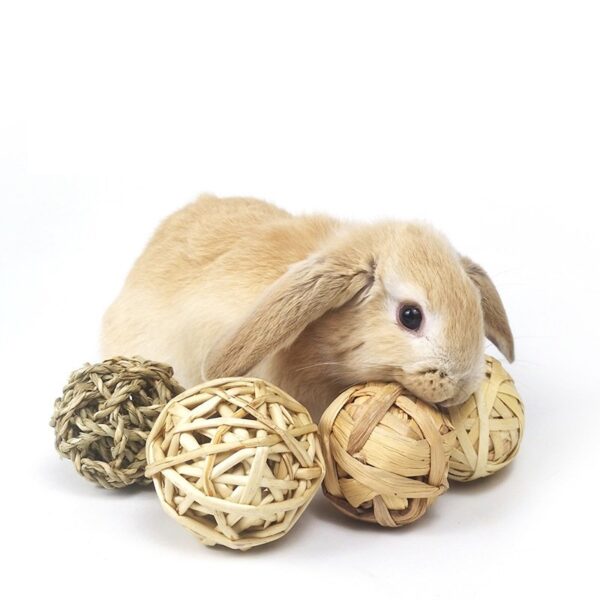 Play & Activity Balls Rolling Chew Toys - JHXDW003 - Image 2