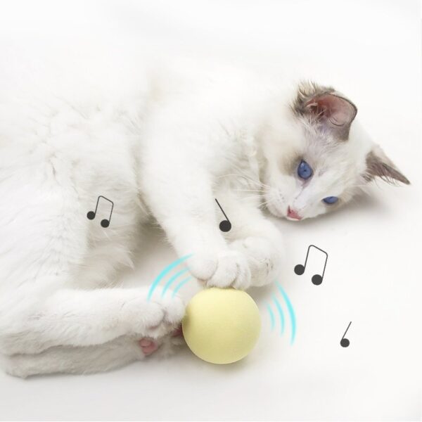 Chirping Catnip Ball Cat Toy - JHMWJ020 - Image 3