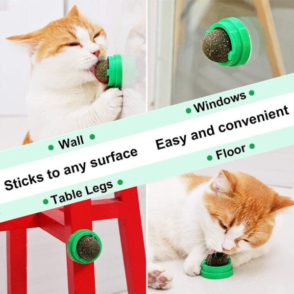 Catnip Ball Cat Toy - JHMWJ021 - Image 5