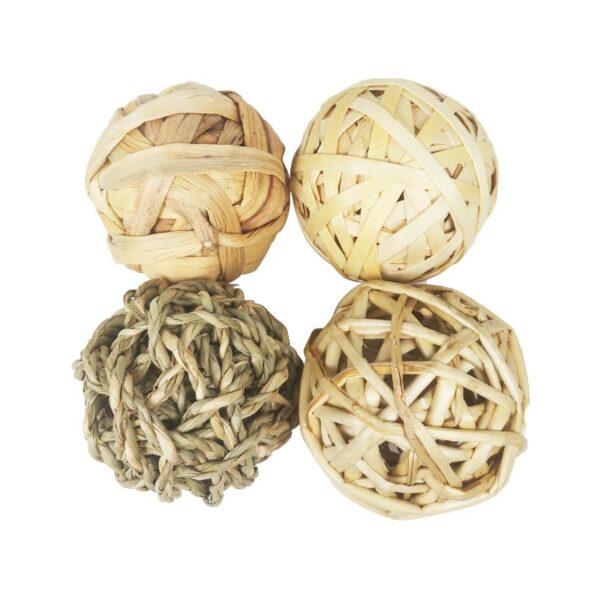 Play & Activity Balls Rolling Chew Toys - JHXDW003 - Image 3