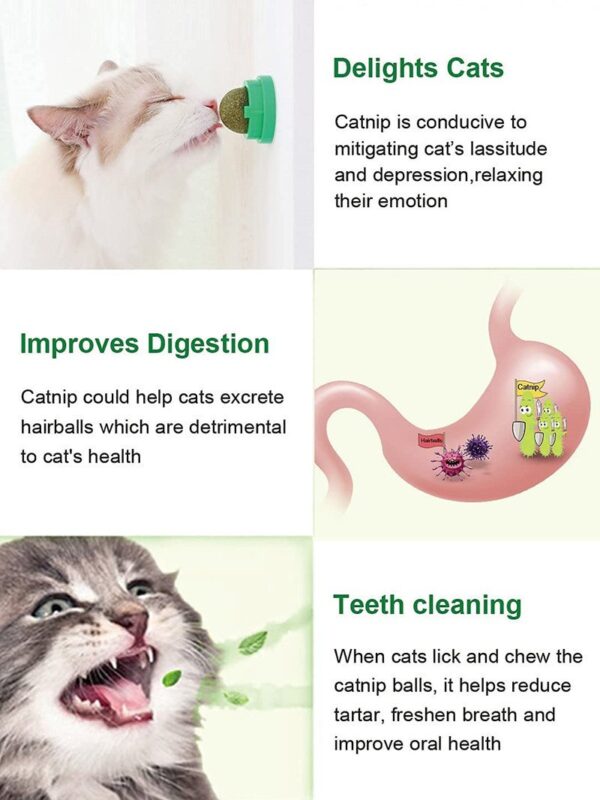 Catnip Ball Cat Toy - JHMWJ021 - Image 4