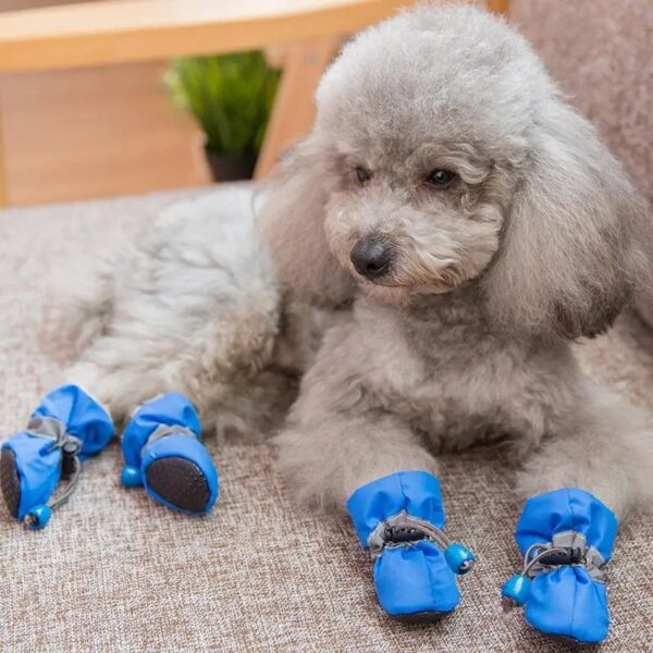 Soft Dog Boots Shoes - JHXZ004