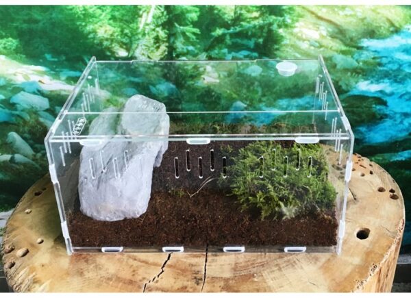 Acrylic Reptile Breeding Sliding Box - JHPC007 - Image 4