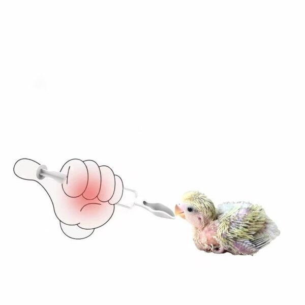 Baby Birds Stainless Steel Spoon Hand Rearing Feeding Syringes - JHN010 - Image 3