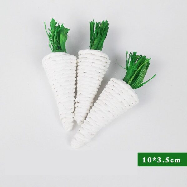 Molar Plant Natural Veggie Chew Toys - JHXDW005 - Image 6