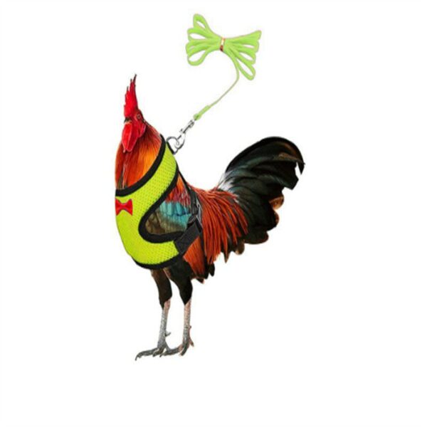 Adjustable Easter Chicken Harness with Matching Belt - JHXDW022 - Image 6