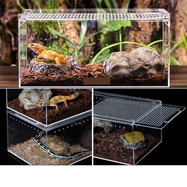 Acrylic Reptile Breeding Sliding Box - JHPC006