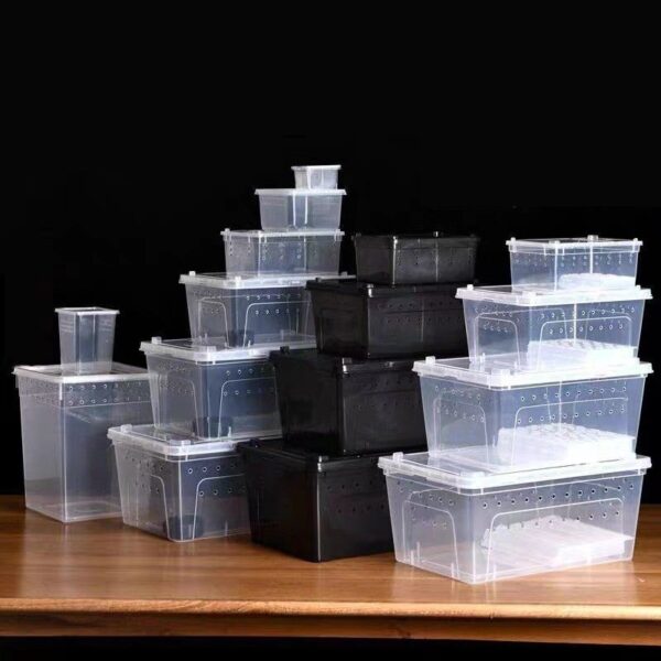 Plastic Reptile Feeding Breeding Box - JHPC005 - Image 3