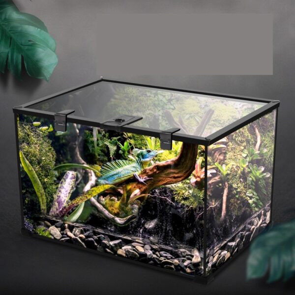 Reptile Glass Terrarium - JHPC010