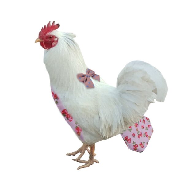 Chicken Geese Ducks Diapers with Bow Ties - JHXDW019