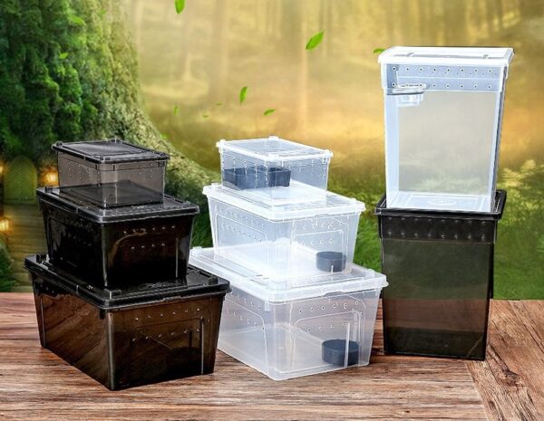Plastic Reptile Feeding Breeding Box - JHPC005 - Image 5